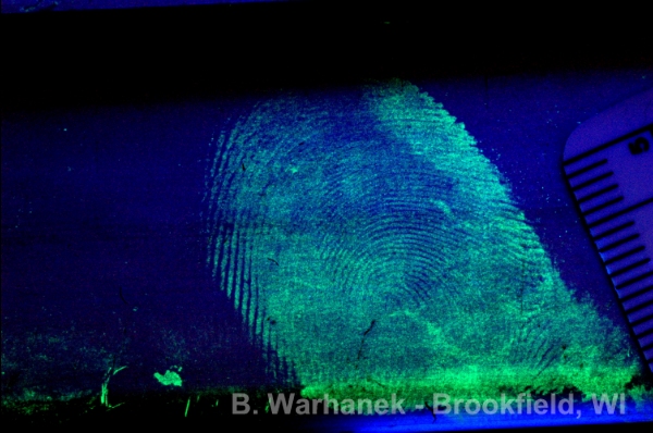 UV Photography - fluorescent Fingerprint